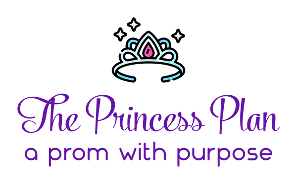 The Princess Plan
